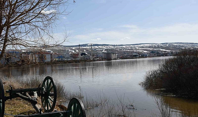 Ardahan Ovası Kura Nehri Taşkınıyla Sular Altında Kaldı