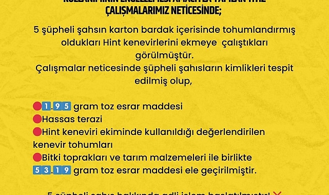 Bingöl'de Karton Bardakta Hint Keneviri Yetiştirirken Yakalandılar