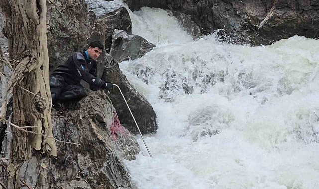 Hakkari'de Kayıp Feleknaz Keskin'i Arama Çalışmaları 4. Günde de Sonuçsuz Kaldı