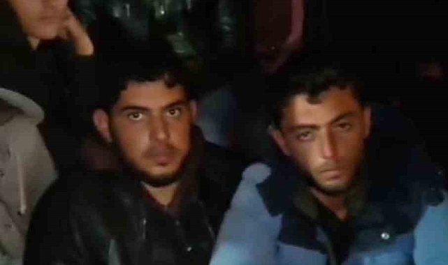 Hatay'da Minibüste Kaçak Göçmen Operasyonu: 20 Kişi Yakalandı, Organizatör Tutuklandı