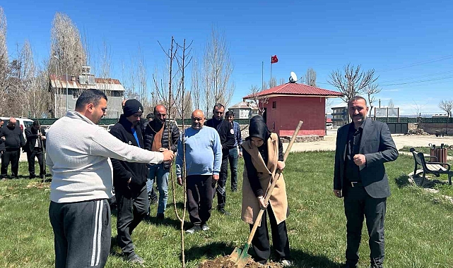 Muş'ta Engelliler ve Aile ve Sosyal Hizmetler İl Müdürü'nden Anlamlı Etkinlik: Fidanlar Toprakla Buluştu