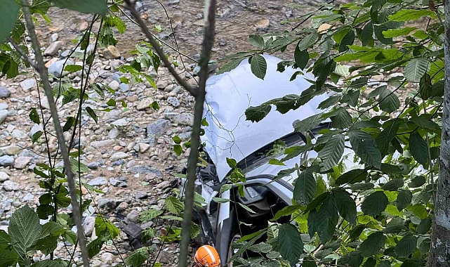 Rize'de Kaza: Hafif Ticari Araç Dereye Yuvarlandı, Yaralılar Var