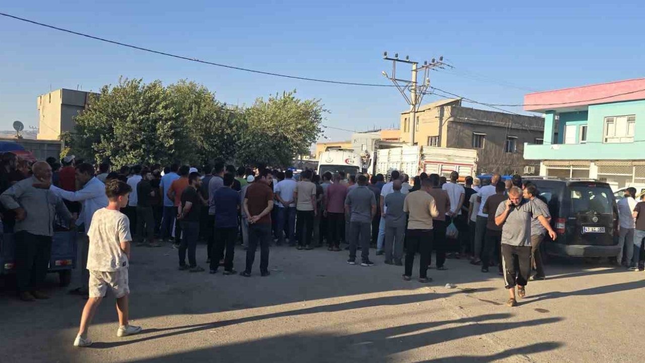 Mardin'de Feci Kaza: Tırın Çarptığı Adam Hayatını Kaybetti