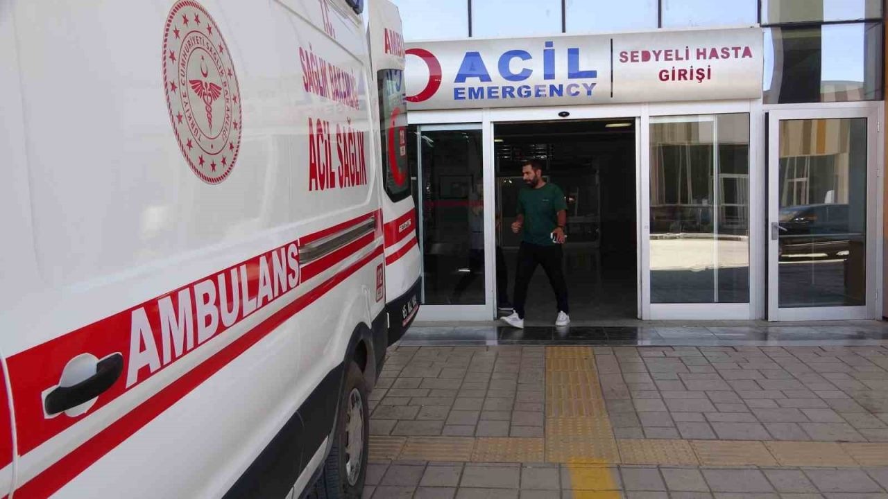 Van'da Sıcak Çarpması Vakaları Artıyor: Uzmanlardan Önemli Uyarılar