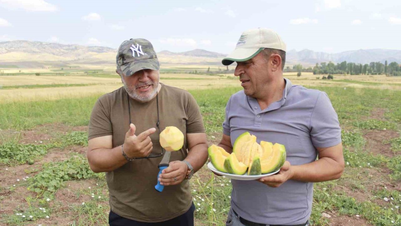 Yozgat’ın Coğrafi İşaretli 'Yer Muzu' Hasadına Başlandı