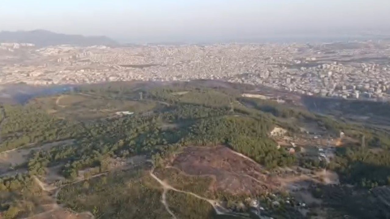 İzmir'deki Orman Yangınına Havadan Müdahale Yeniden Başladı