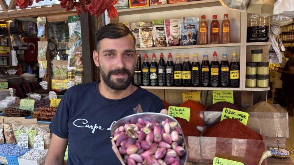 Gaziantep'te Taze Ben Fıstık Hasadı Başladı: Fiyatlar Yüksekten Açtı