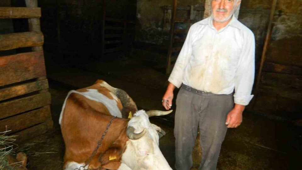 Ardahan'da Şap Hastalığı Çiftçileri Zor Durumda Bıraktı