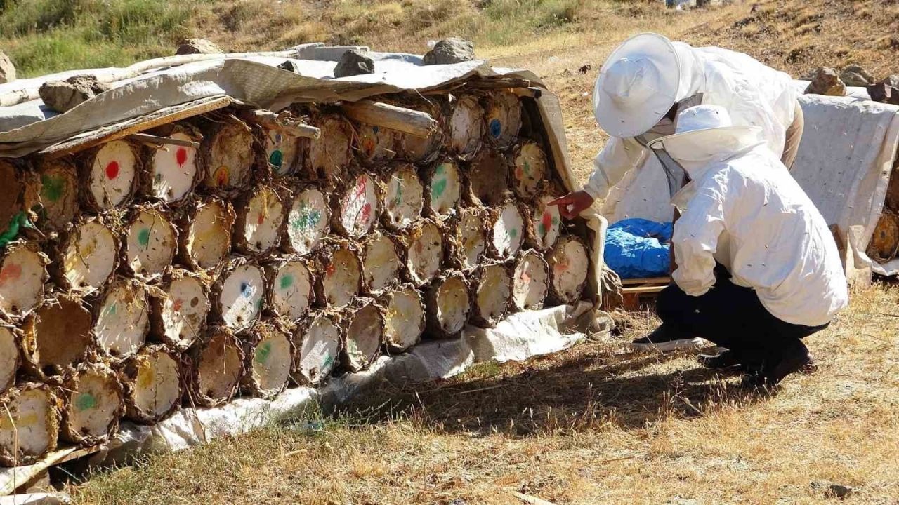 Van'da Bal Üretimi Küresel Isınma Nedeniyle Tehdit Altında