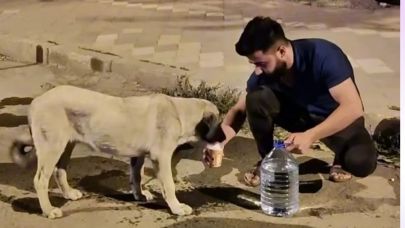 Iğdır’da Yürekleri Isıtan Görüntü: Bir Vatandaşın Köpeğe Yardımı