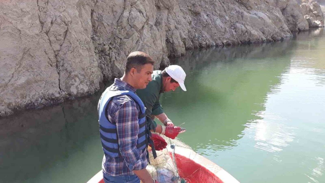 Van'da Sazangiller İçin Av Yasağı Sona Erdi