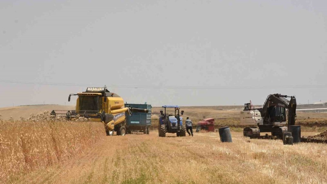 Erzincan'da Buğday ve Arpa Hasadı Başladı