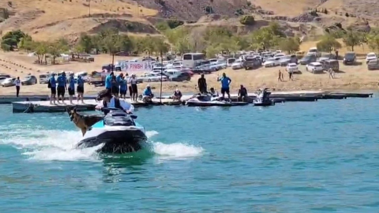 Keban Festivali'nde Jet Ski Keyfi Yapan Köpek İlgi Odağı Oldu