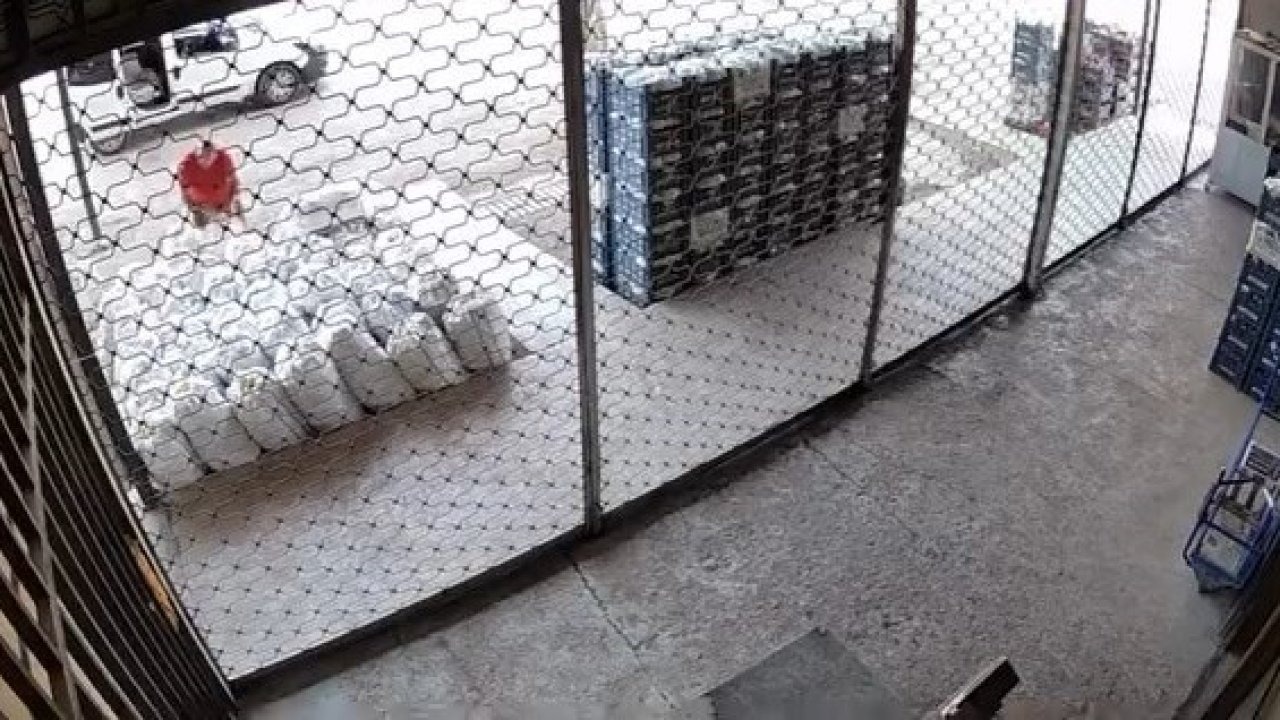 Elazığ'da Sebze Hırsızlığı Kamerada