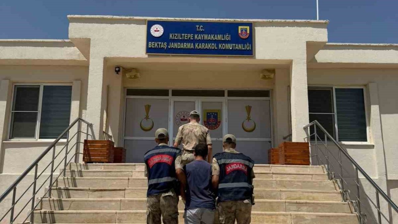 Mardin’de Hayvan Kısırlaştırmasıyla İlgili Uygunsuz Paylaşım Yapan Kişi Gözaltına Alındı