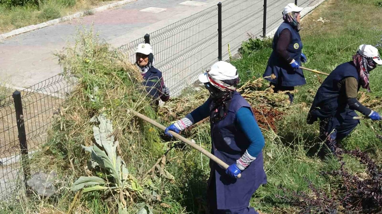 Tavşanlı'da Kavurucu Sıcakta Ekmek Mücadelesi Veren Kadın İşçilere Takdir