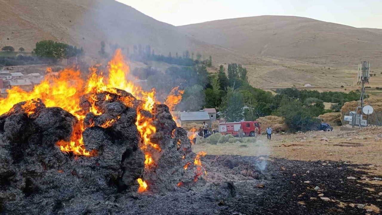 Gevaş'ta Ot Yangını Paniğe Neden Oldu