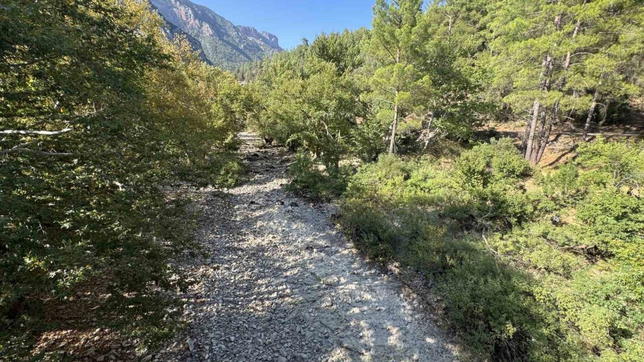 Manavgat'ı Besleyen Üzümdere Irmağı Kurudu: Canlı Yaşamı Tehlikede