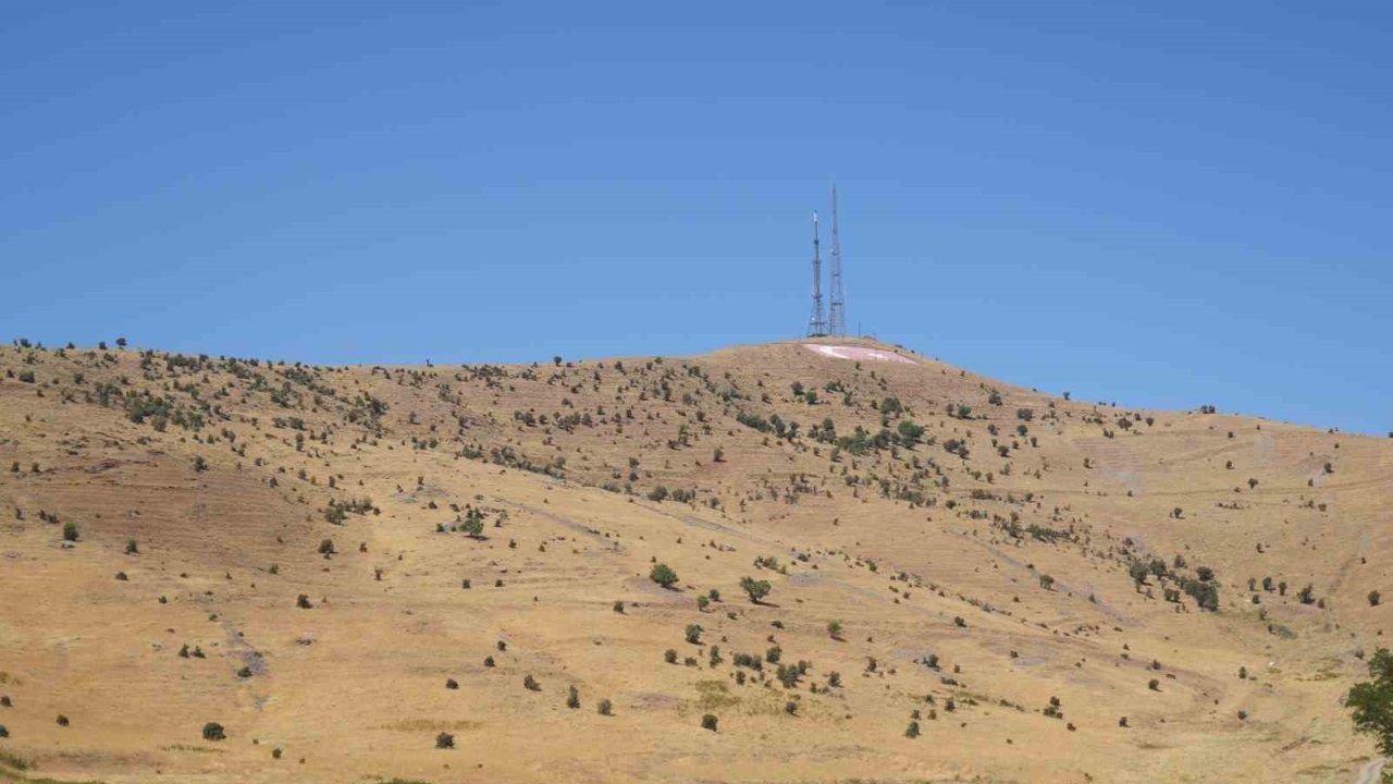 Muş’ta Köylülerden 'Askeri Atış Alanı' Sorununa Çözüm Çağrısı