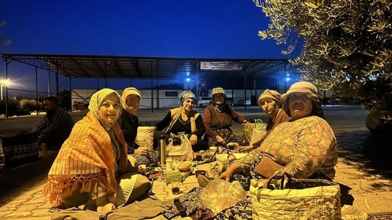 Vekil Sema Silkin Ün, Üreticiyle Hasat Yaptı: "Kaliteli Üzümü Meyve Suyuna Vermek Haksızlık"
