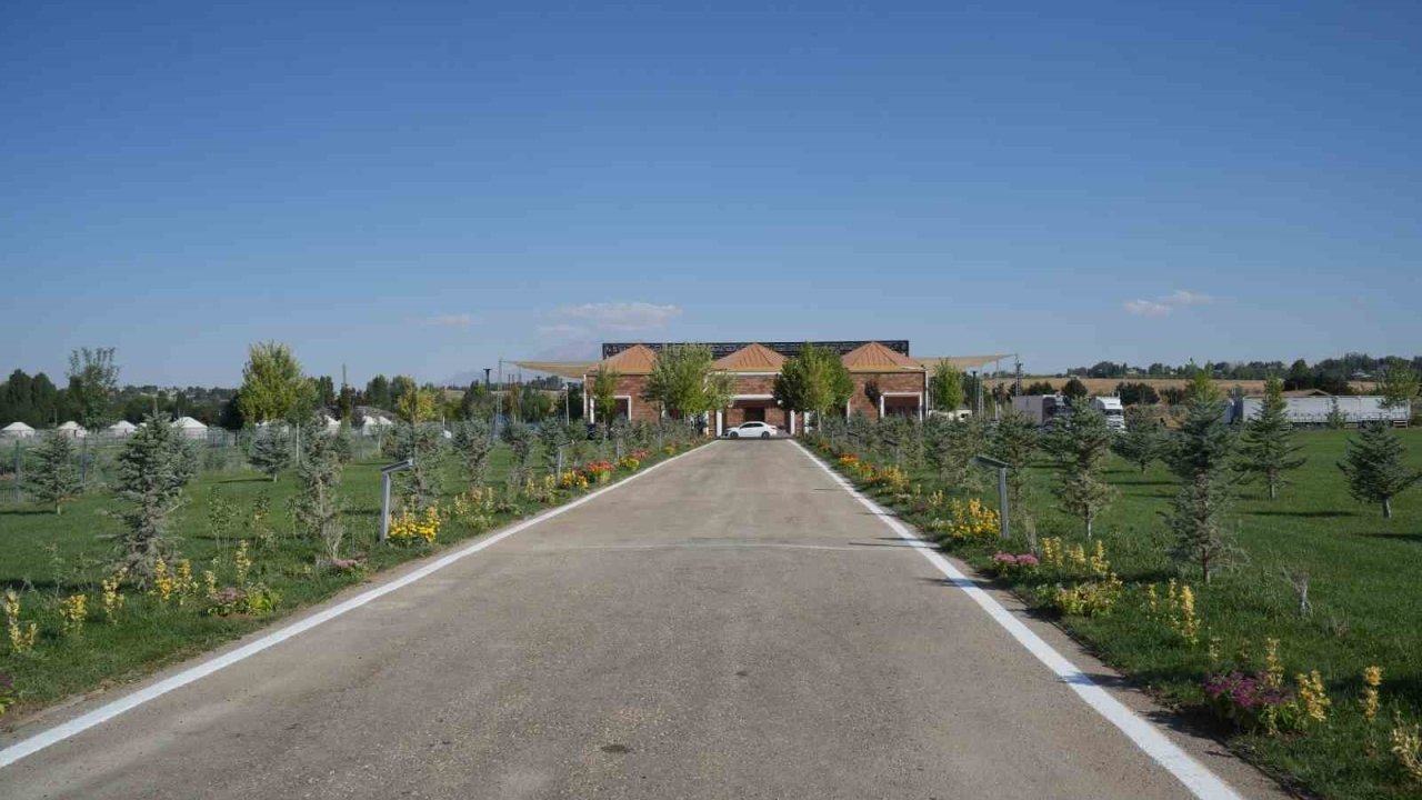 Malazgirt Milli Parkı'na Zaferin Simgesi Olarak 1071 Çiçek Dikildi