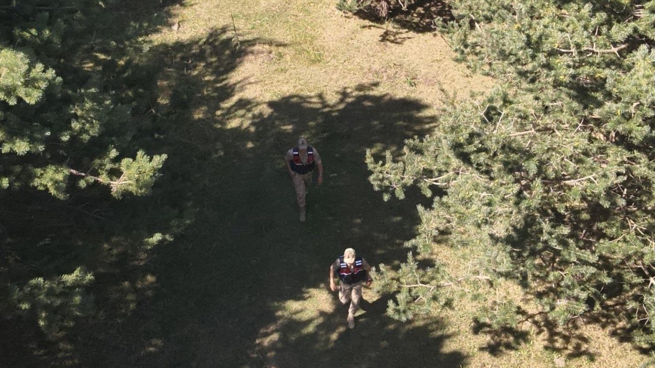 Ardahan'da Jandarma Orman Yangınına Karşı Teyakkuzda