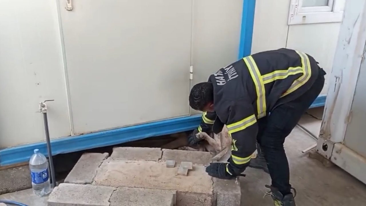 Konteynerin altına sıkışan köpek kurtarıldı