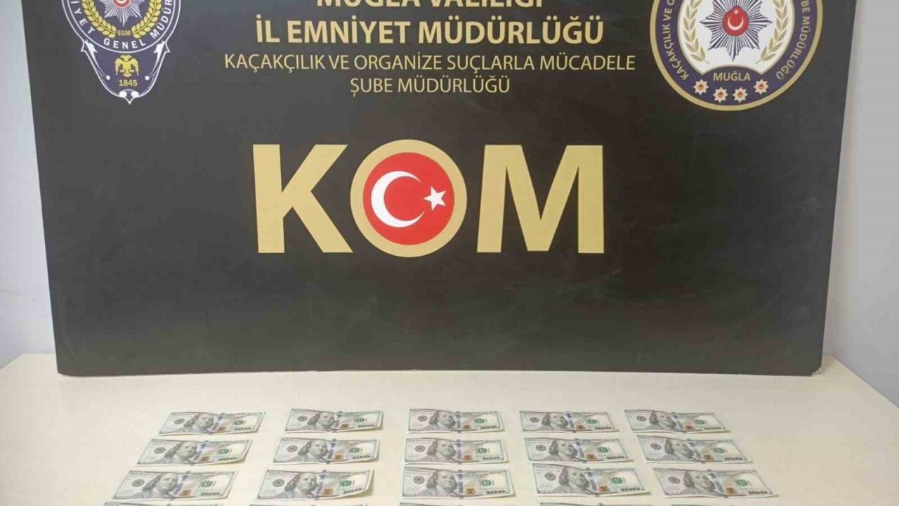 Muğla'da Sahte Dolar Operasyonu