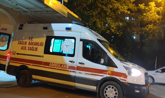 Mardin'de Akraba Kavgası: 2 Kişi Silahla Öldürüldü
