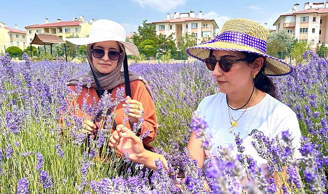 Van YYÜ'deki Tıbbi-Aromatik Bitkiler Bahçesi 300 Türü Ağırlıyor