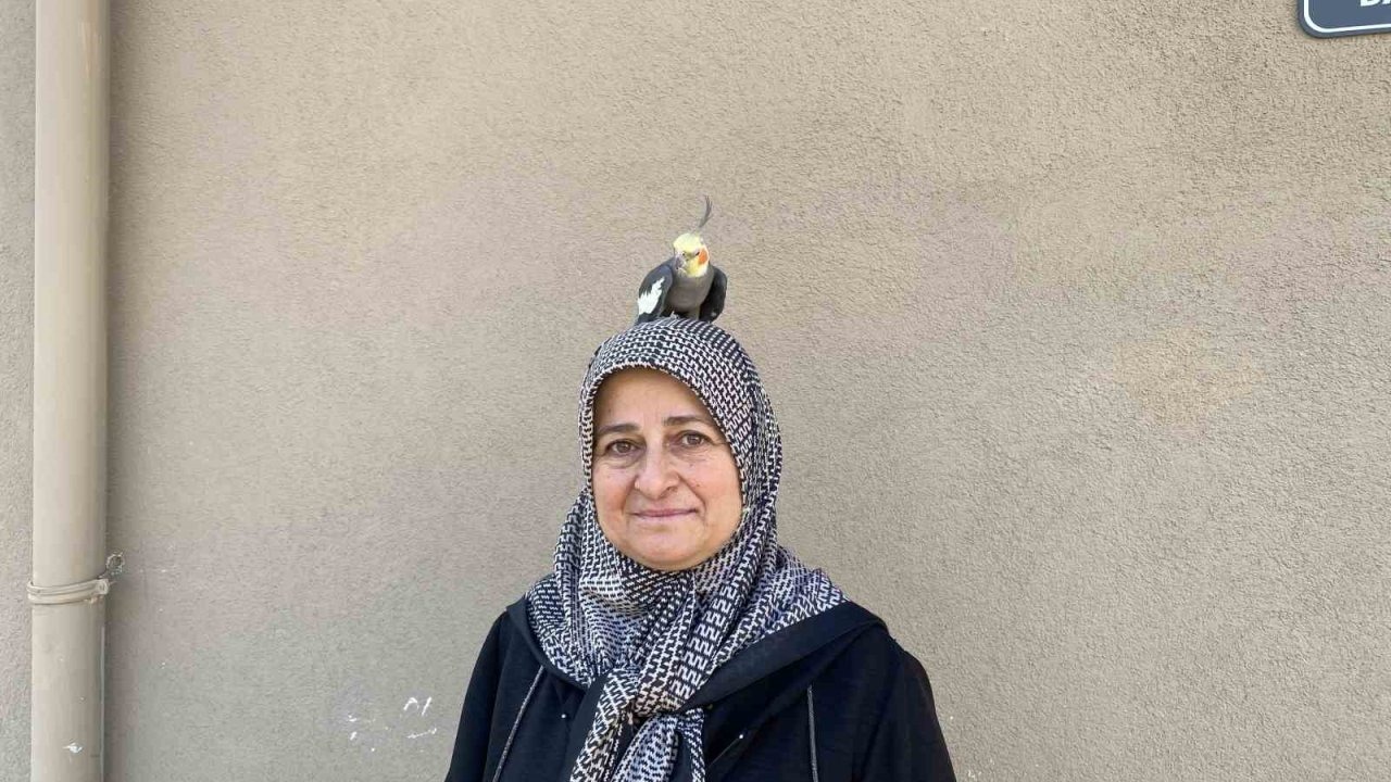 Tokat'ta Papağan ve Sahibinin Sıcak Dostluğu Güldürüyor