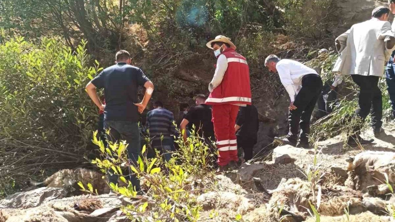 Çatak'ta Sürü Felaketi: 334 Koyun Kayalıklardan Düşerek Telef Oldu
