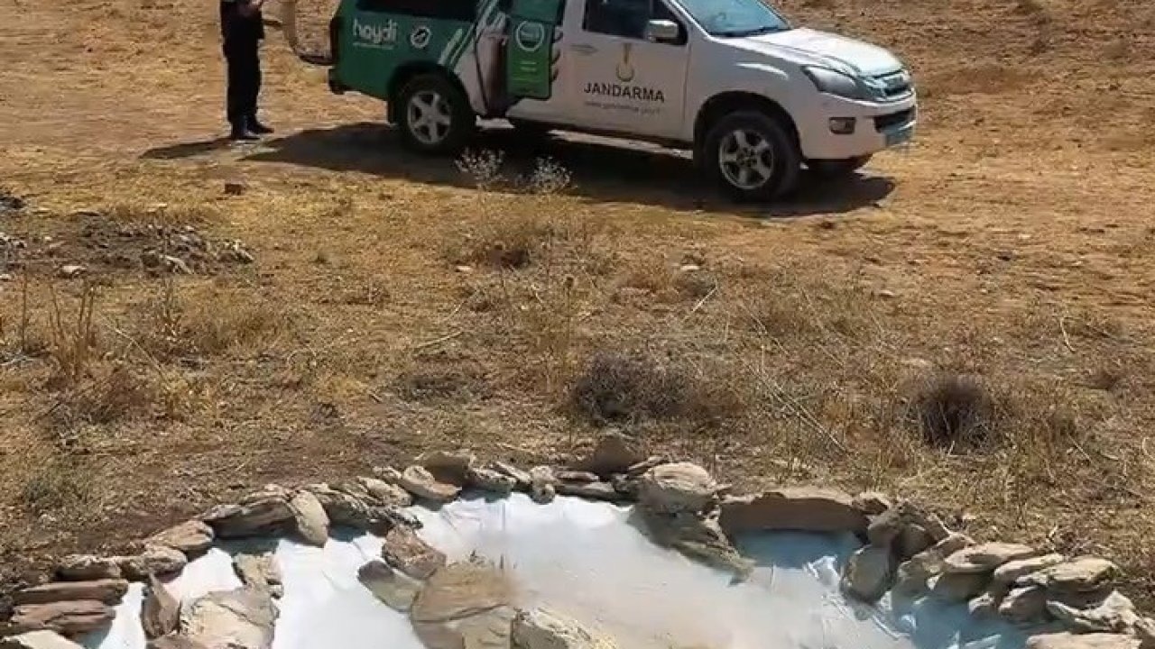 Van Jandarmadan Yaban Hayatına Can Suyu Projesi