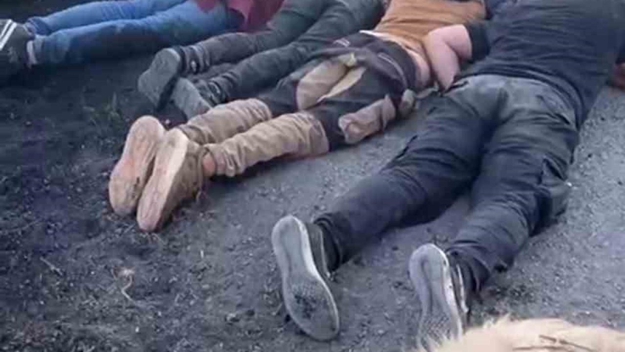 Hatay'da Sürüye Çarpan Araç Sürücüsü, Kaçak Göçmenleri Bırakıp Kaçtı