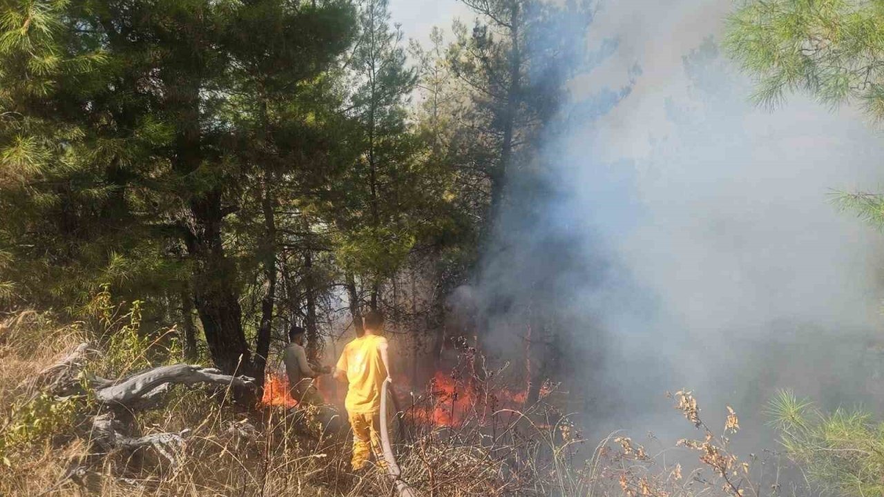 Denizli'de Orman Yangını: Havadan ve Karadan Müdahale Başlatıldı