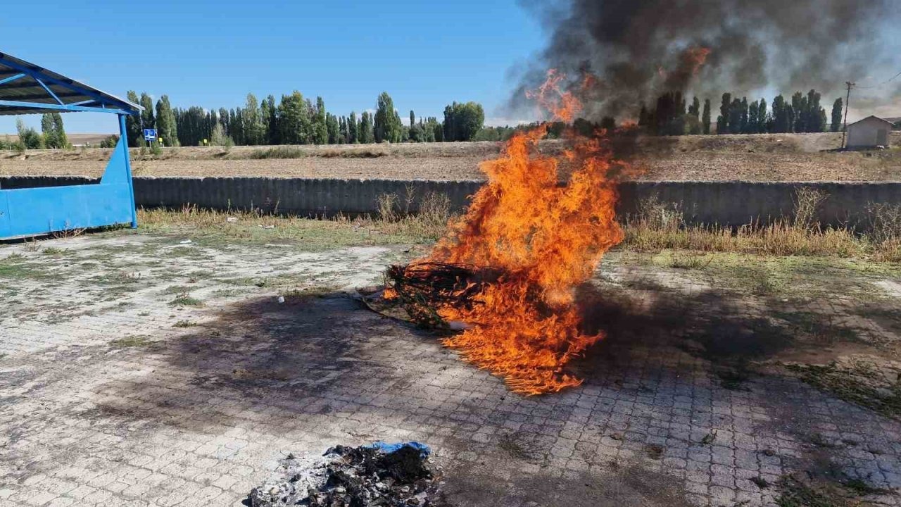 Alaca'da Kenevir İmhası