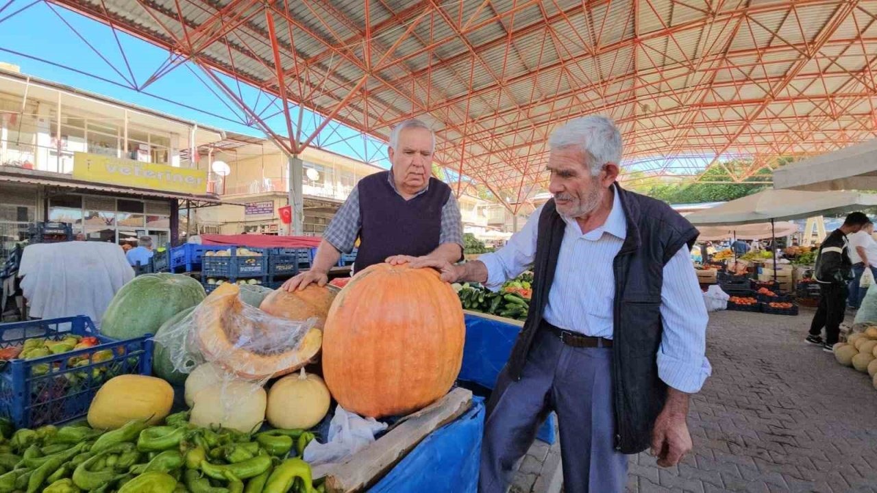 Darende Bal Kabağı Üreticinin ve Tüketicinin Yüzünü Güldürüyor