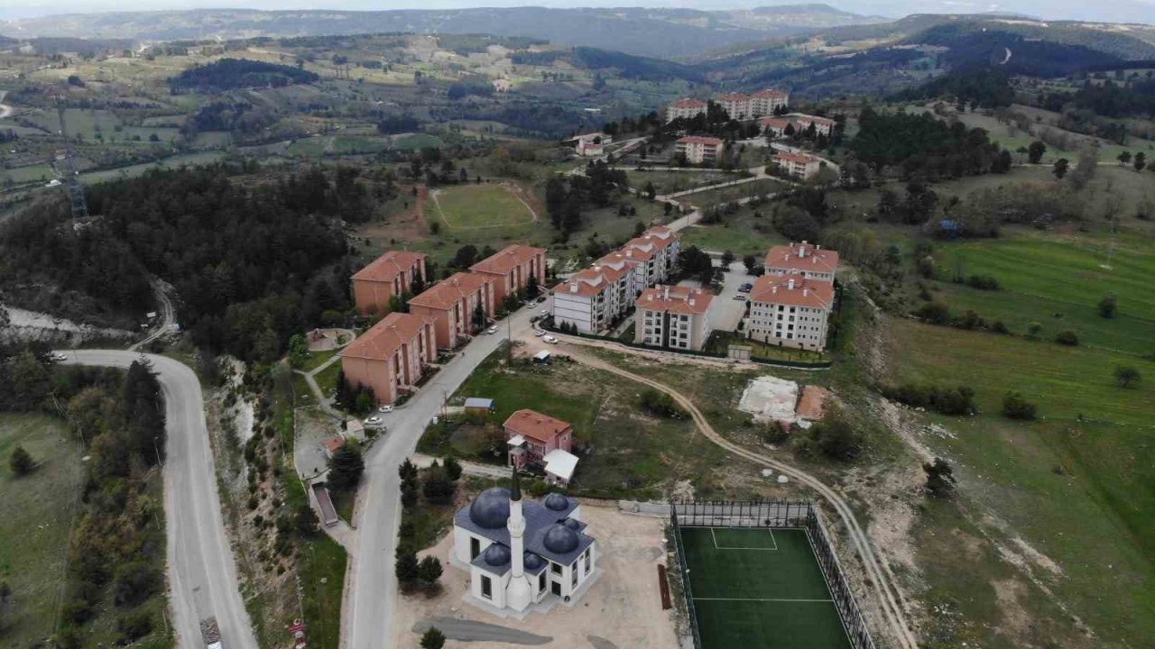 Bursa'da Site Bahçesinde Ayı Uyarısı