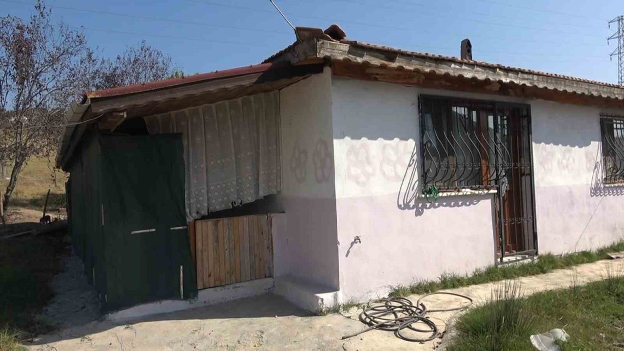 Yalova’daki Şüpheli Ölüm Davası Devam Ediyor: Anne 'Kasten Öldürme'den Yargılanıyor
