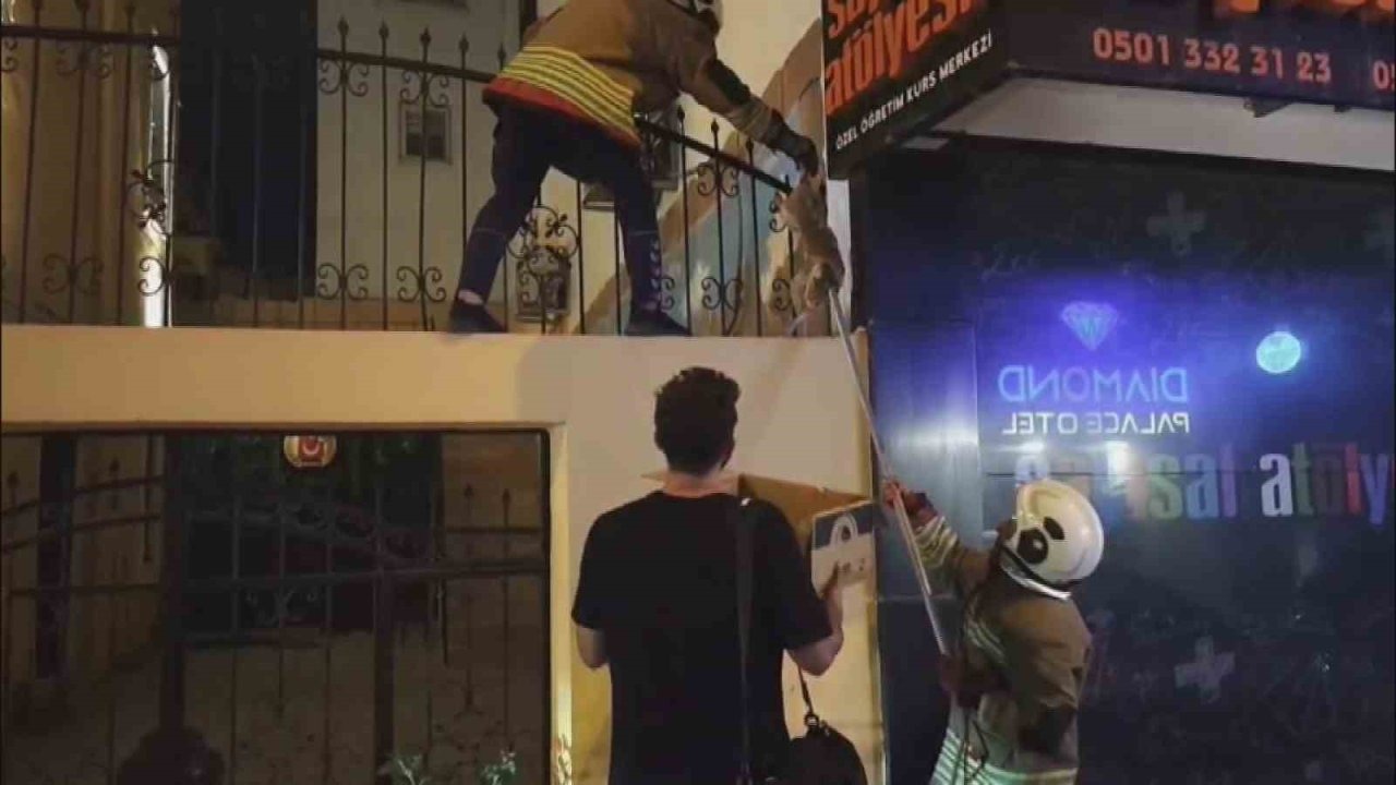 İskenderun'da Demir Korkuluğa Sıkışan Kedi Kurtarıldı