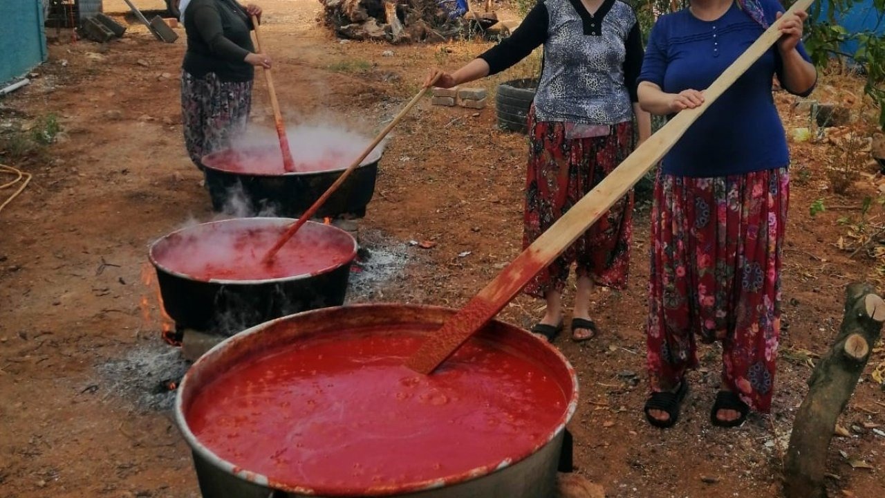 Erzincan'da Kışlık Salça Mesaisi: Doğal Lezzetler Kışa Saklanıyor