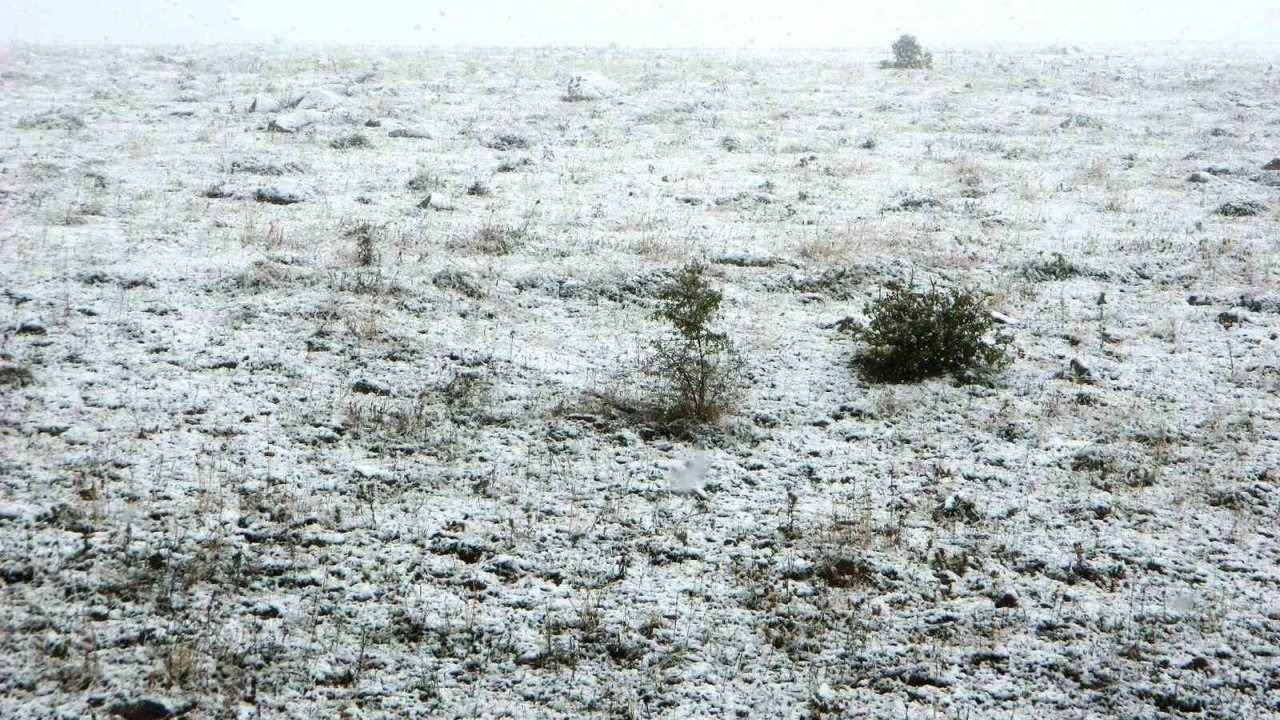 Ardahan'ın Posof İlçesi Eylül Ayında Kara Teslim Oldu