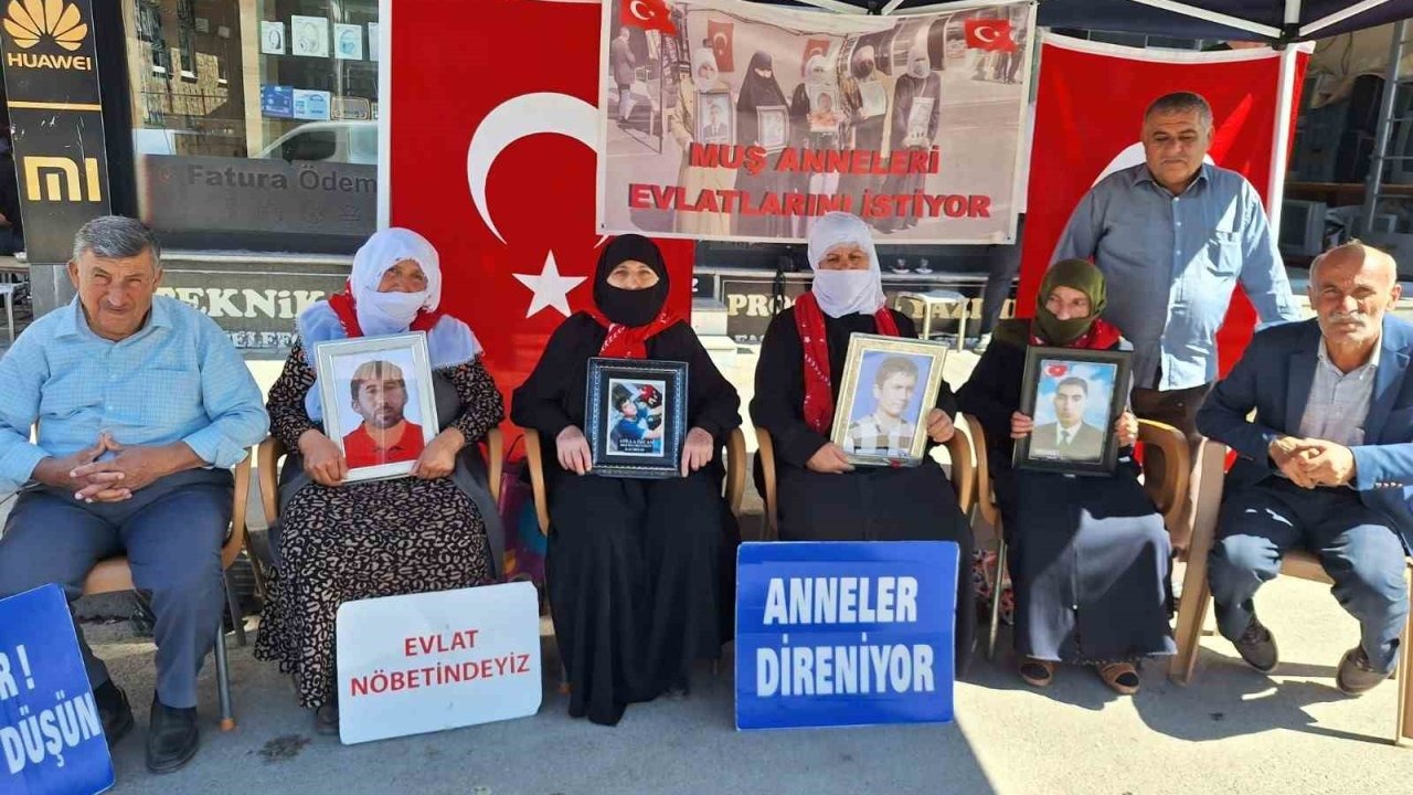 Muş'ta Evlat Nöbeti Devam Ediyor: Aileler PKK'dan Kaçırılan Çocuklarını İstiyor