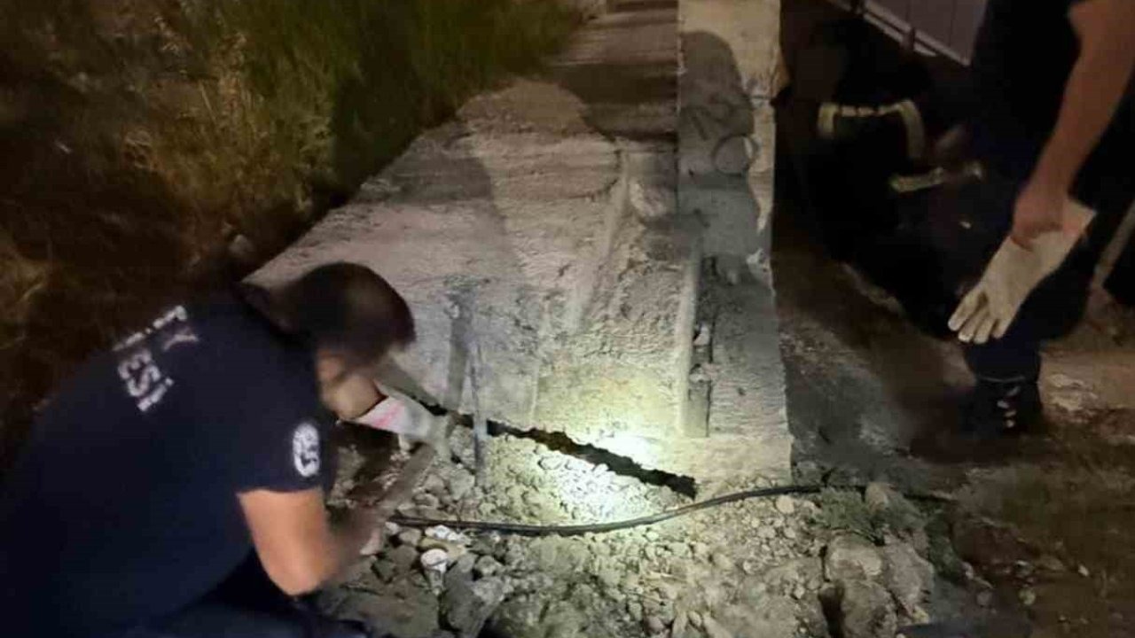 Hatay'da Beton Boruya Sıkışan Kedi Kurtarıldı