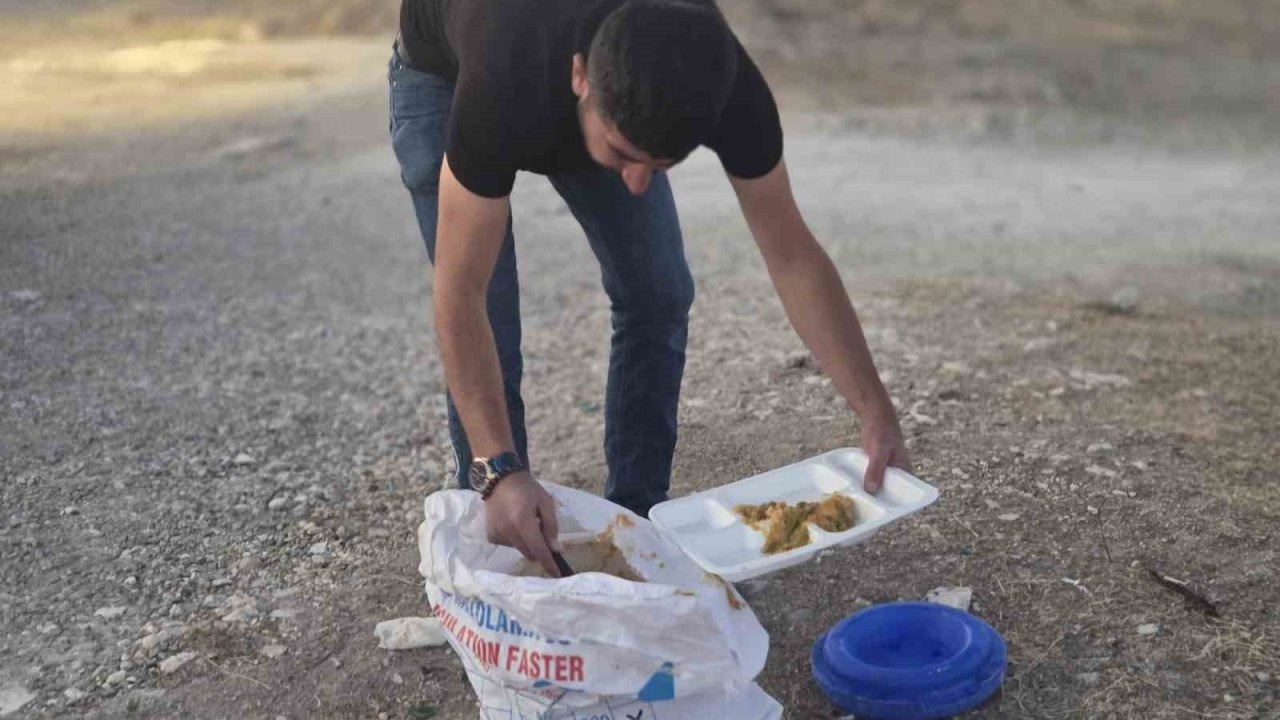 İnşaat Ustası Yozgat'a Dönüş Yolunda Sokak Hayvanlarını Besliyor