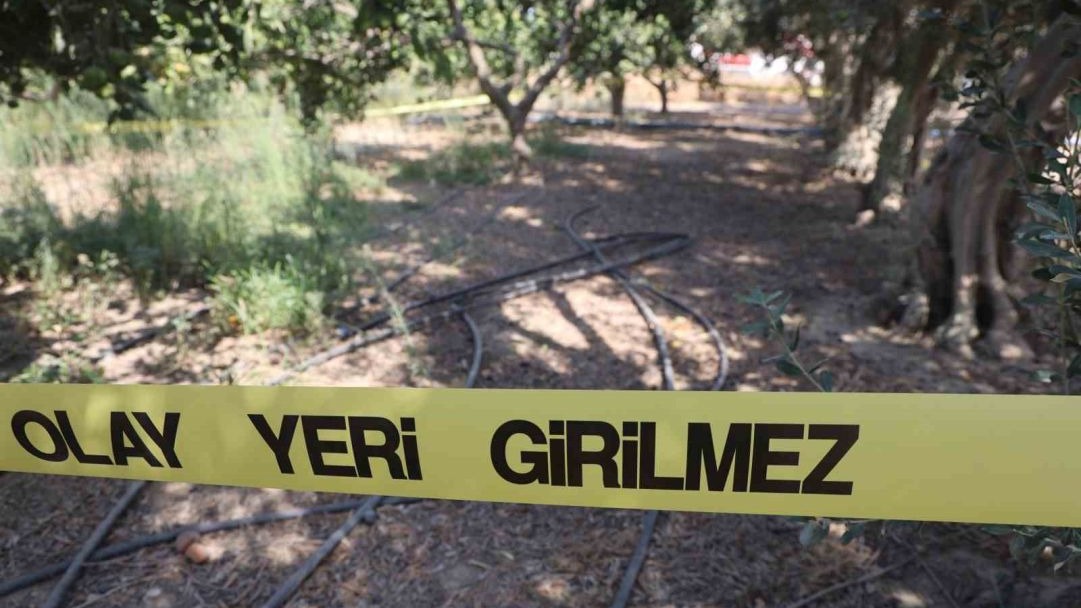 Hatay'da Satırlı Cinayet: Zanlı, İz Takip Köpeği 'Pamuk' Sayesinde 150 Bin TL Gasp Parasıyla Yakalandı