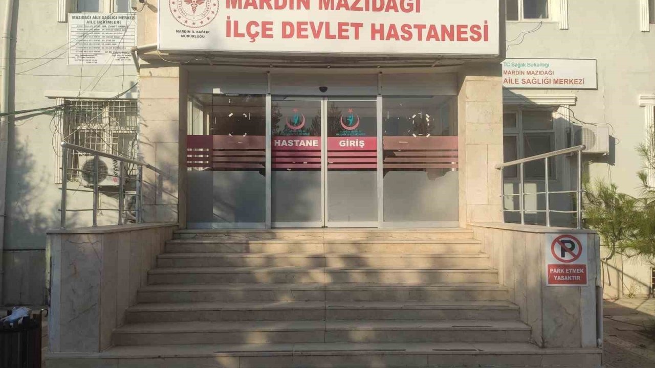 Mardin’de Ceviz Toplarken Düşen Muhtar Ağır Yaralandı