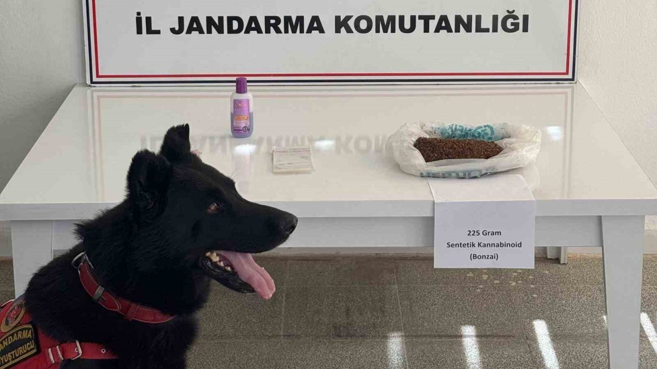 Muş'ta Uyuşturucu Operasyonu: 225 Gram Bonzai ve Malzemeler Ele Geçirildi
