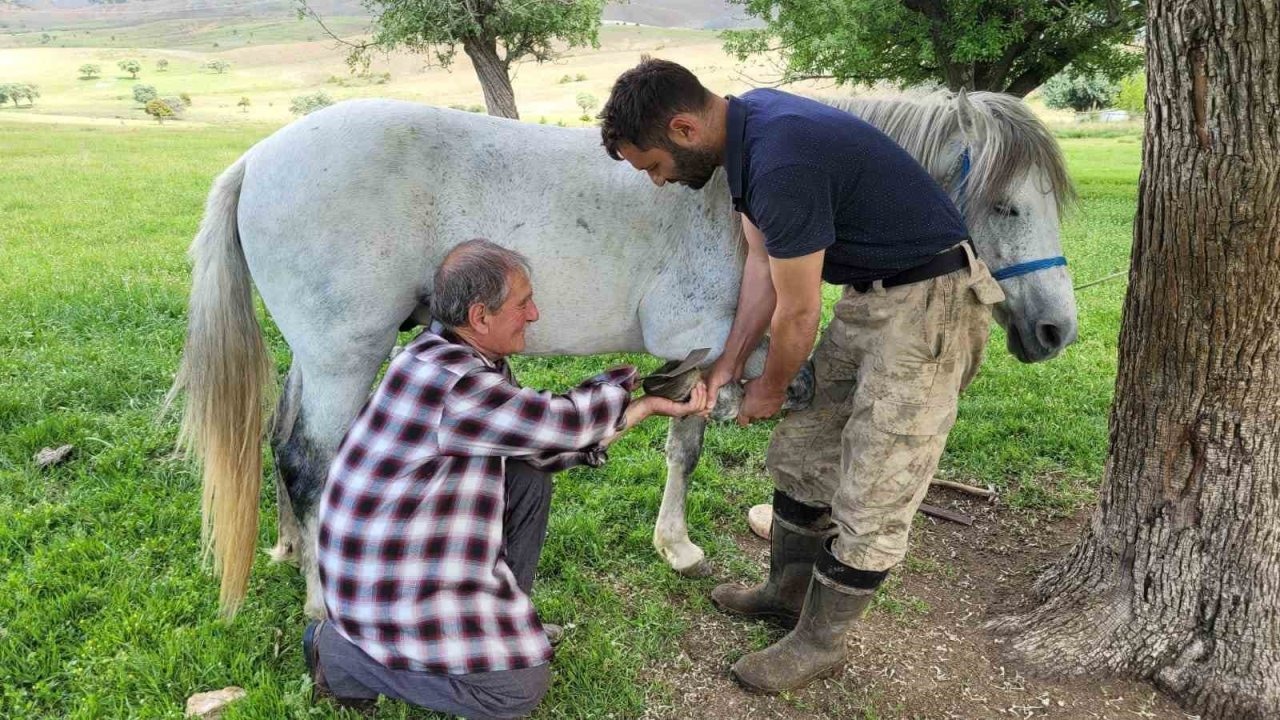 Yarım Asırlık Azim: Kemaliye’nin Son Nalbant Ustası Mesleği Yaşatıyor