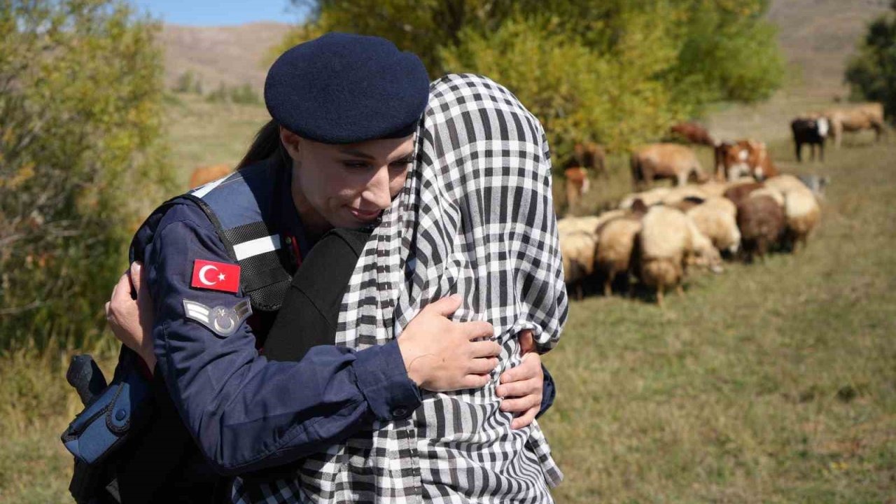 Kaybolan 13 koyun jandarma ekiplerince dağda bulundu